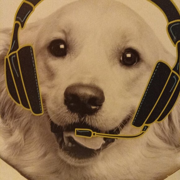 Golden Retriever Dog with Headset Framed Wall Art 🐾 - Picture 2 of 6